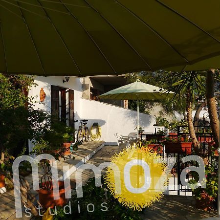 Mimoza Studios Skiathos Exterior foto